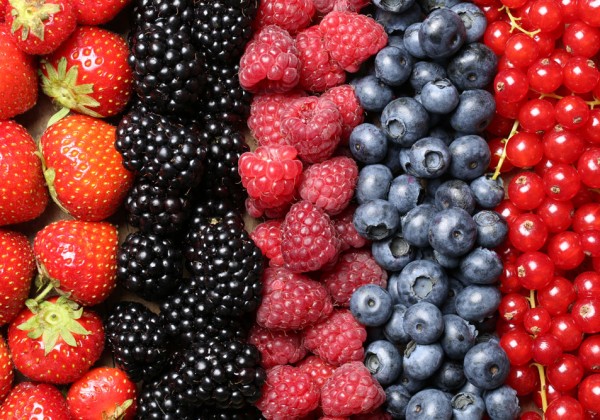 Ronit’s Berry Energy Smoothie